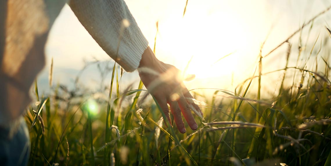 Sonne im Feld